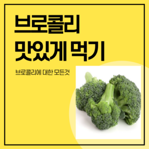 브로콜리에 대한 모든것 맛있게 먹기 세척방법및 고르는 법
