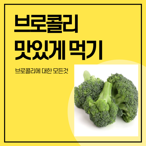 브로콜리에 대한 모든것 맛있게 먹기 세척방법및 고르는 법
