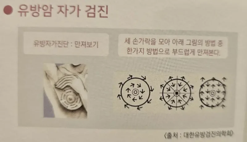 유방암 자가검진 하는 법