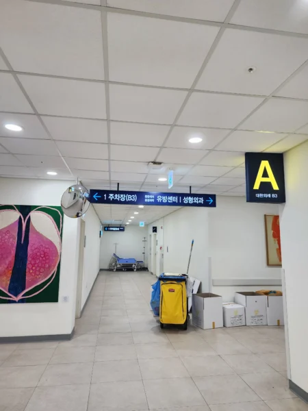 Breast Cancer Diagnosis in My 40s: From Self-Examination to Major Hospital Appointment