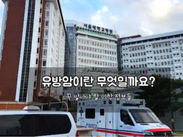내가 겪은 유방암