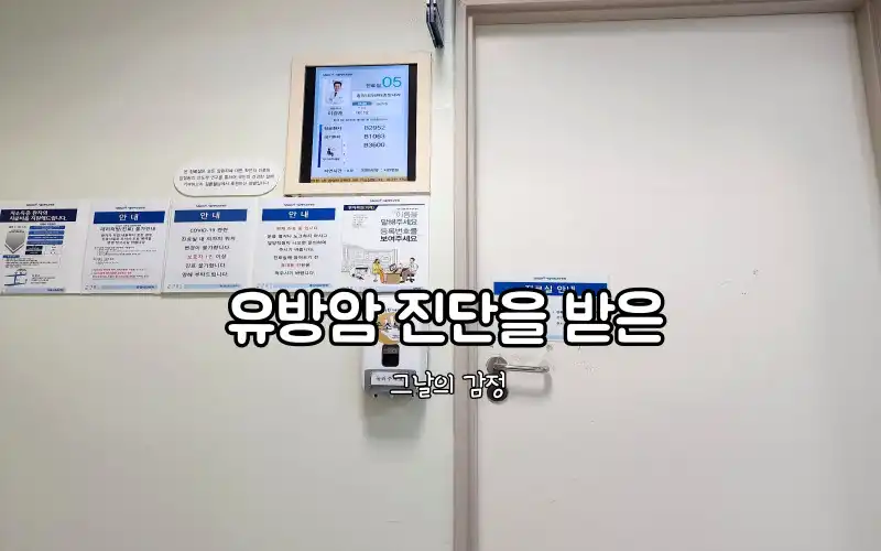 유방암 진단 직후 서울대병원 예약
