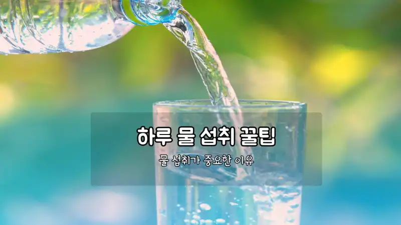 하루 물 섭취의 중요성 │ 수분 부족이 주는 위험과 건강관리법