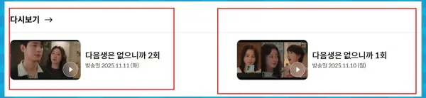 다음생은 없으니까 재방송 공식영상 기본정보 등장인물 출연진 정리